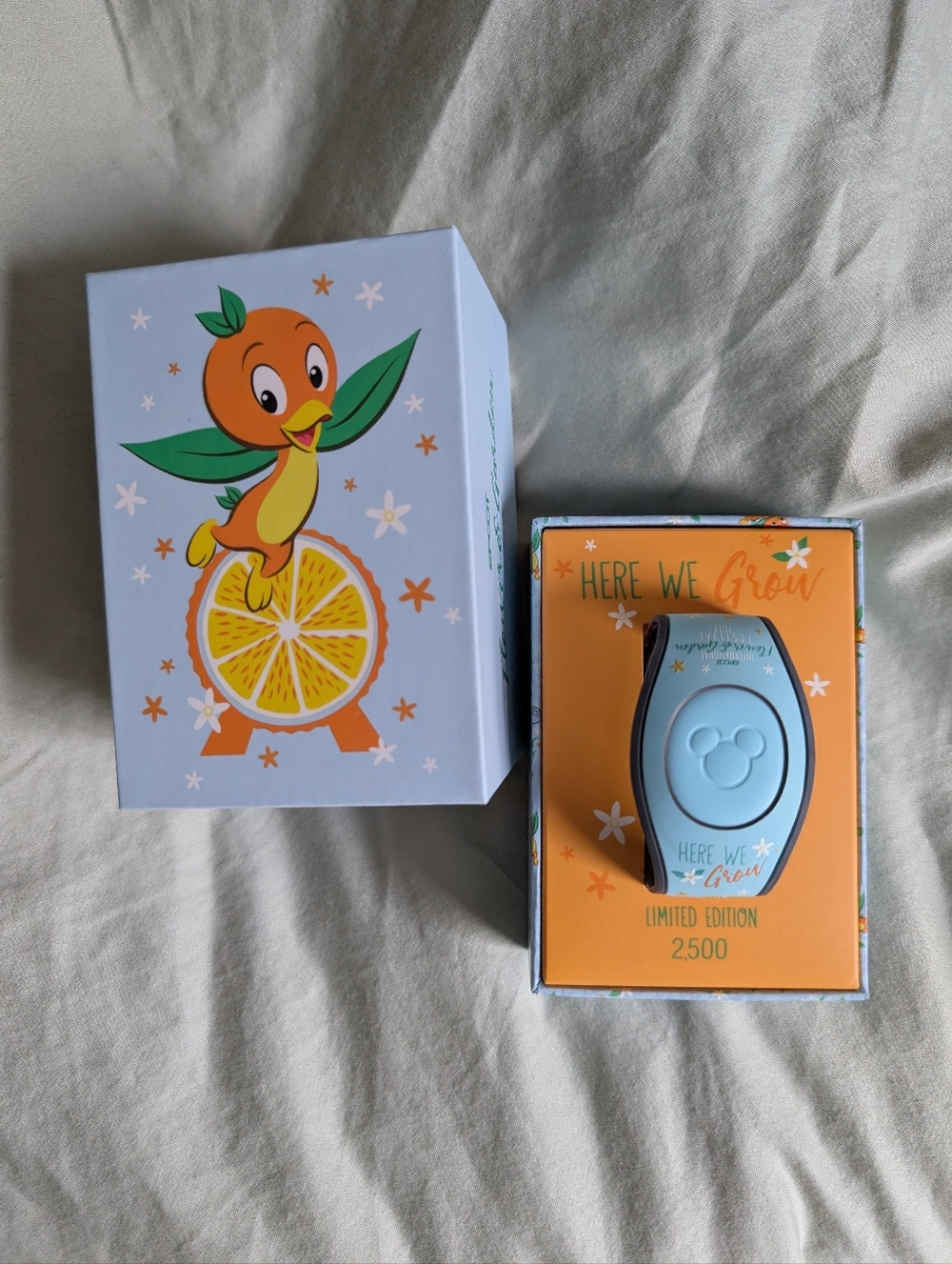 Limited Edition 2022 Magicband